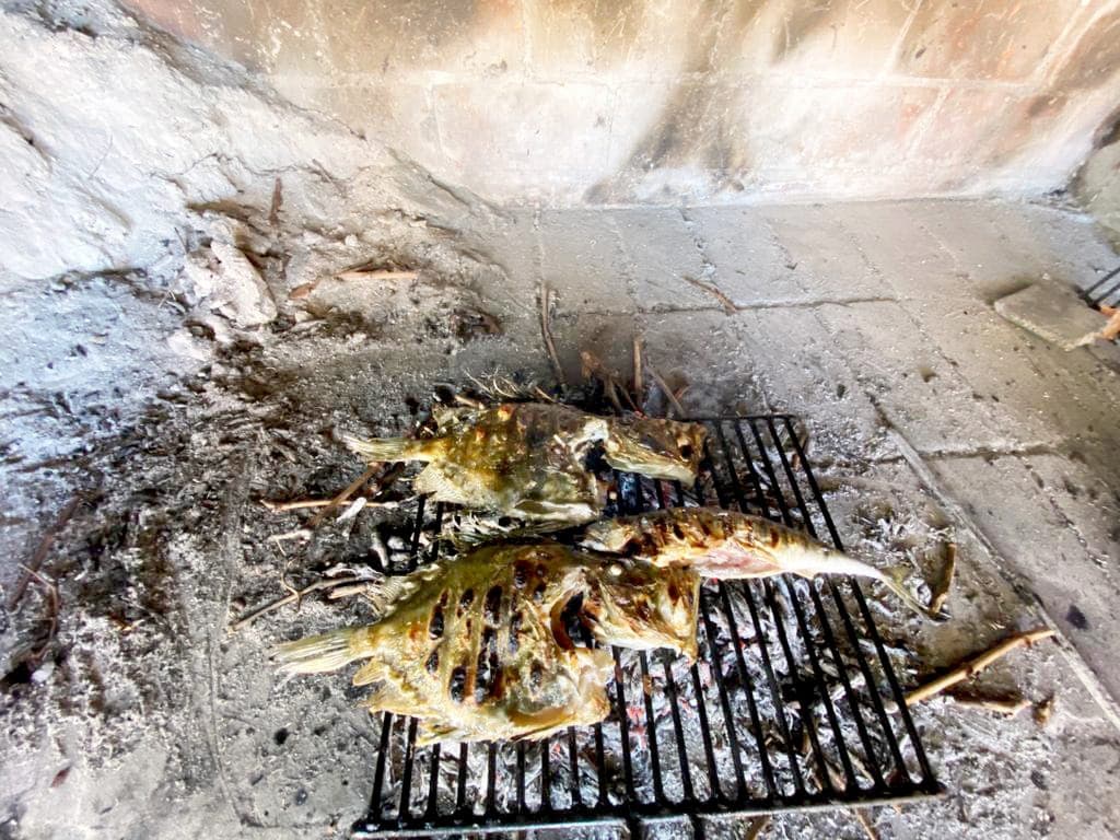 Apartmani Mirca - rostilj